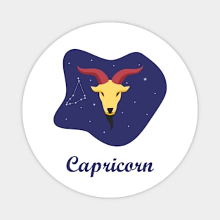 Capricorn Zodiac Sign Constellation Sky Magnet